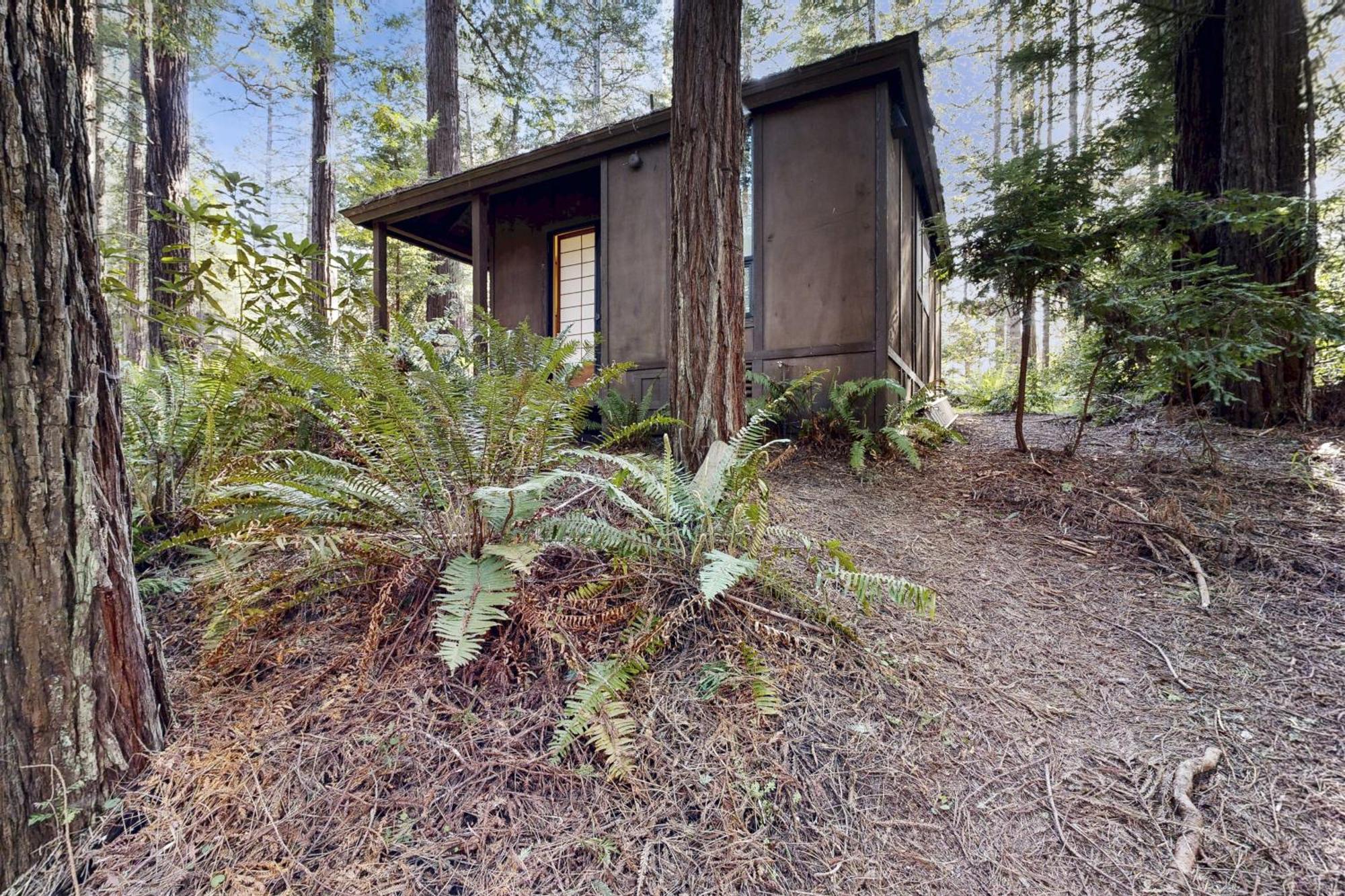 Hotel The Tea House Sea Ranch Exteriér fotografie